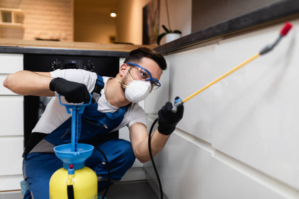 Best Termite Control Services  in Hewlett Harbor, NY