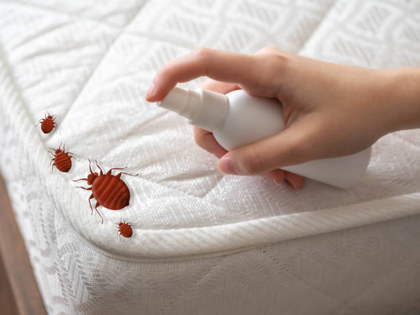 Best Mosquito Control Services  in Hewlett Harbor, NY