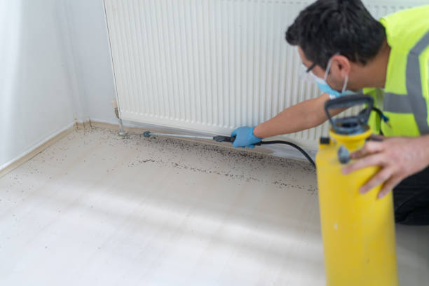 Best Exterminator Services  in Hewlett Harbor, NY